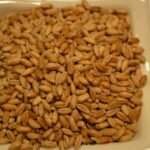 Ekologiški kviečiai indelyje