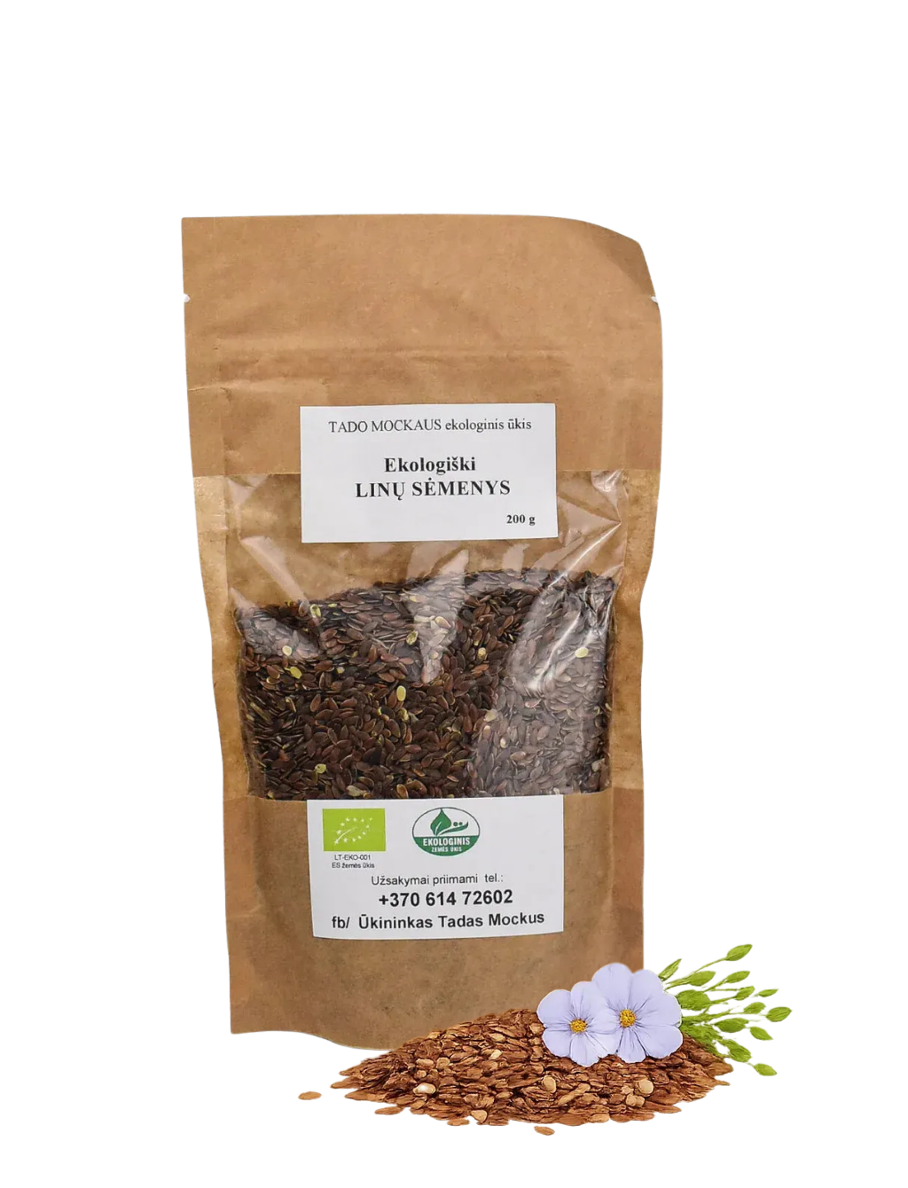 chiasheed e1772392979494